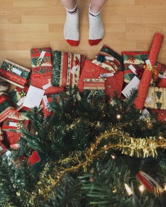 christmas, pet care, mornington peninsula vet clinic langwarrin, pet care seaford, vet somerville,
