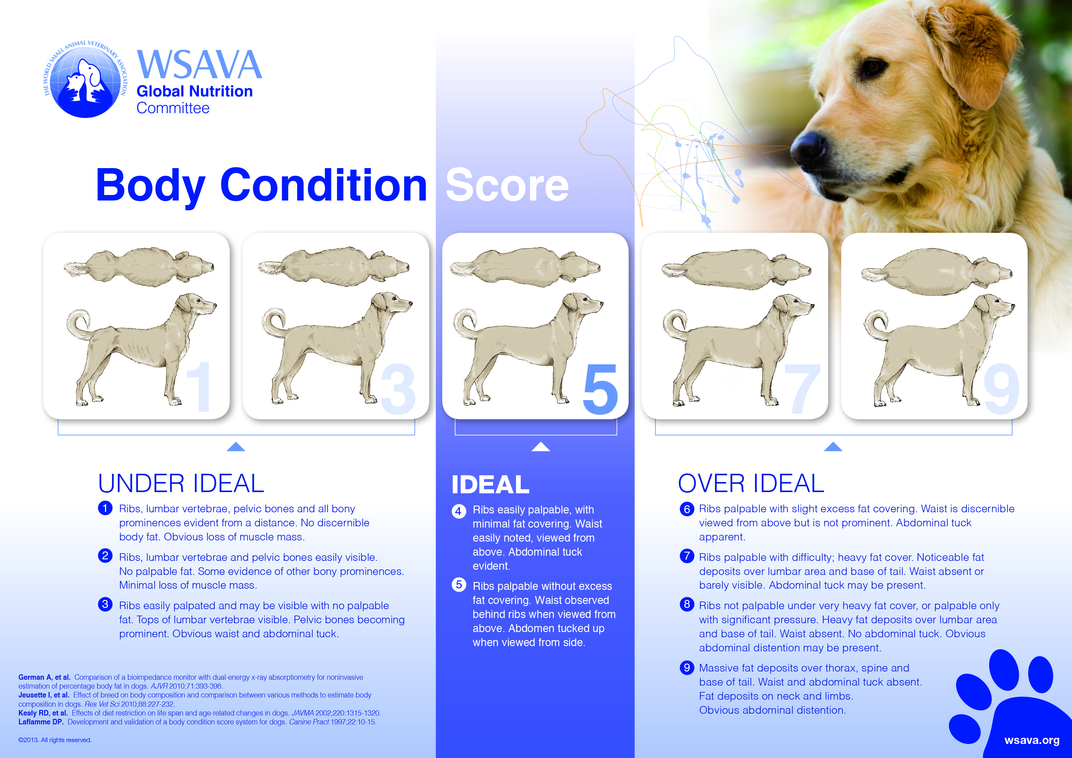 How Heavy Should My Dog Be? (Plus A Dog Weight Chart) - Canine Journal