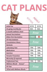 cat care, vet langwarrin, vet care frankston, vet hospital frankston, pet care frankston, mornington peninsula vet clinic, cat vaccination melbourne, cat vaccination schedule